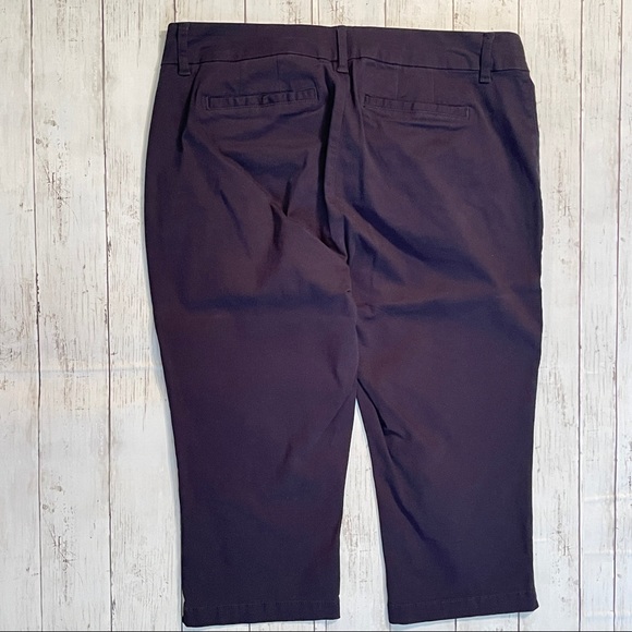 Market & Spruce Navy Capri Pants- Stitch Fix 16 W - Picture 5 of 7